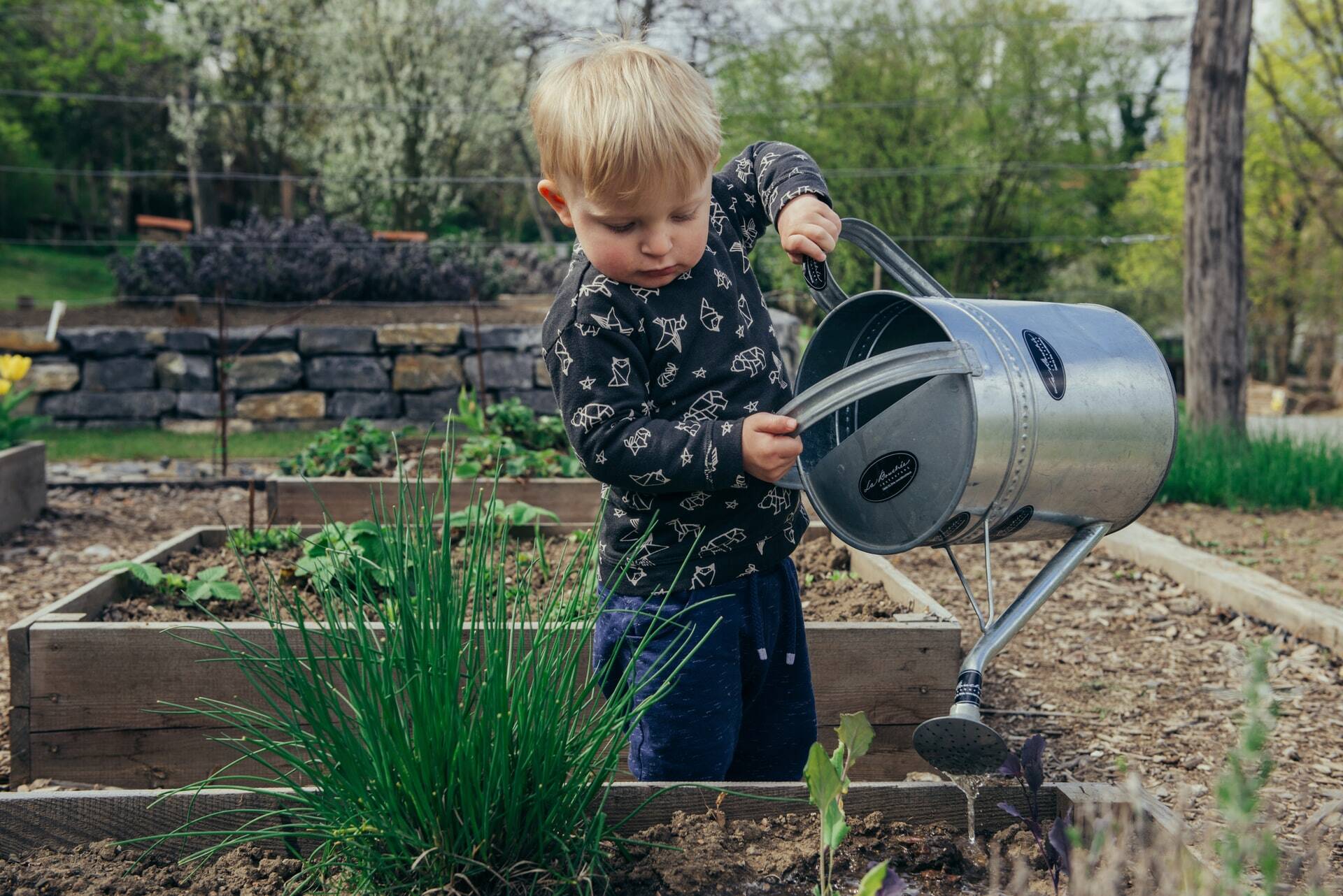 Mini veggie garden inspiration – small child tending to vegetables in raised beds