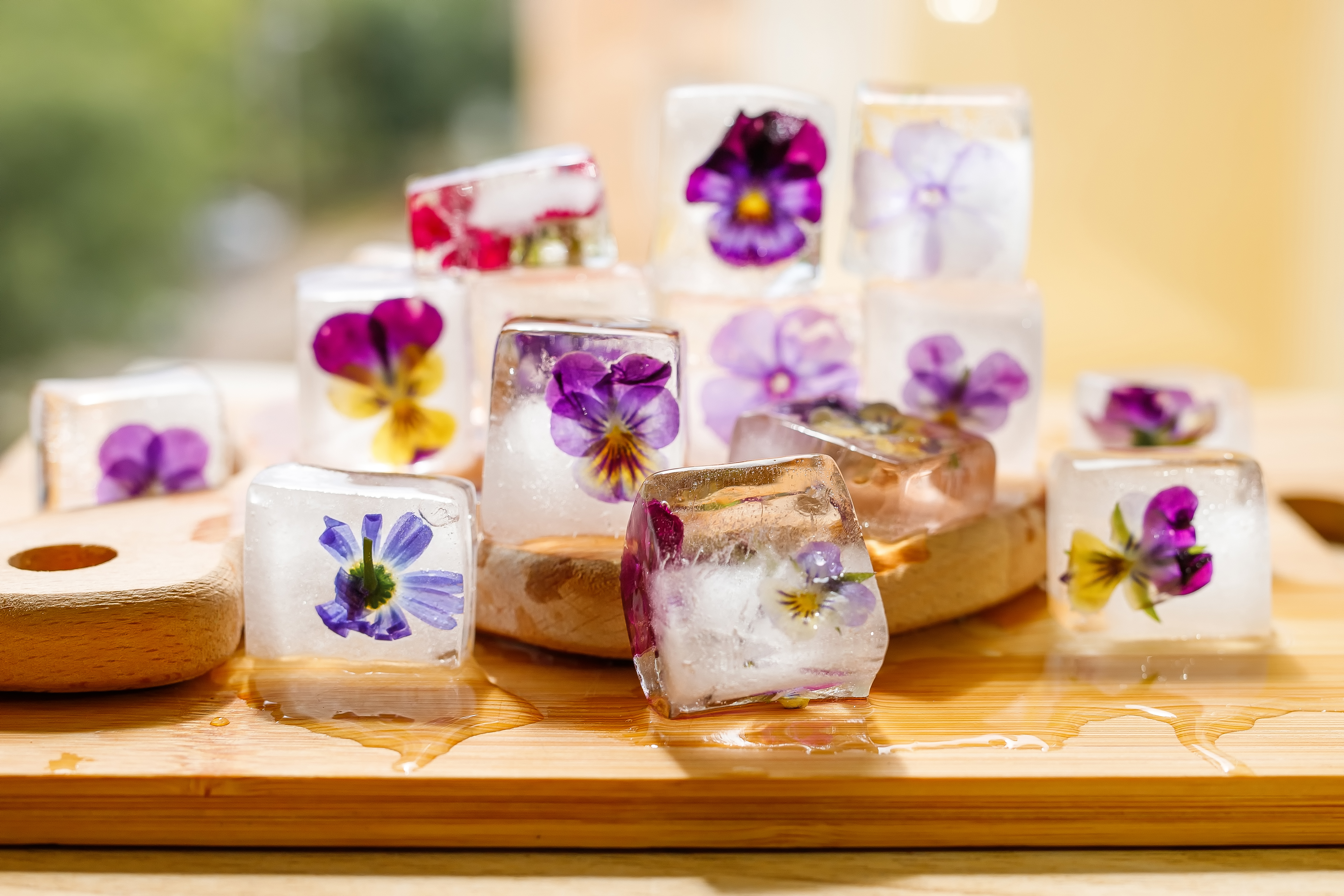 Fresh flowers in ice cubes