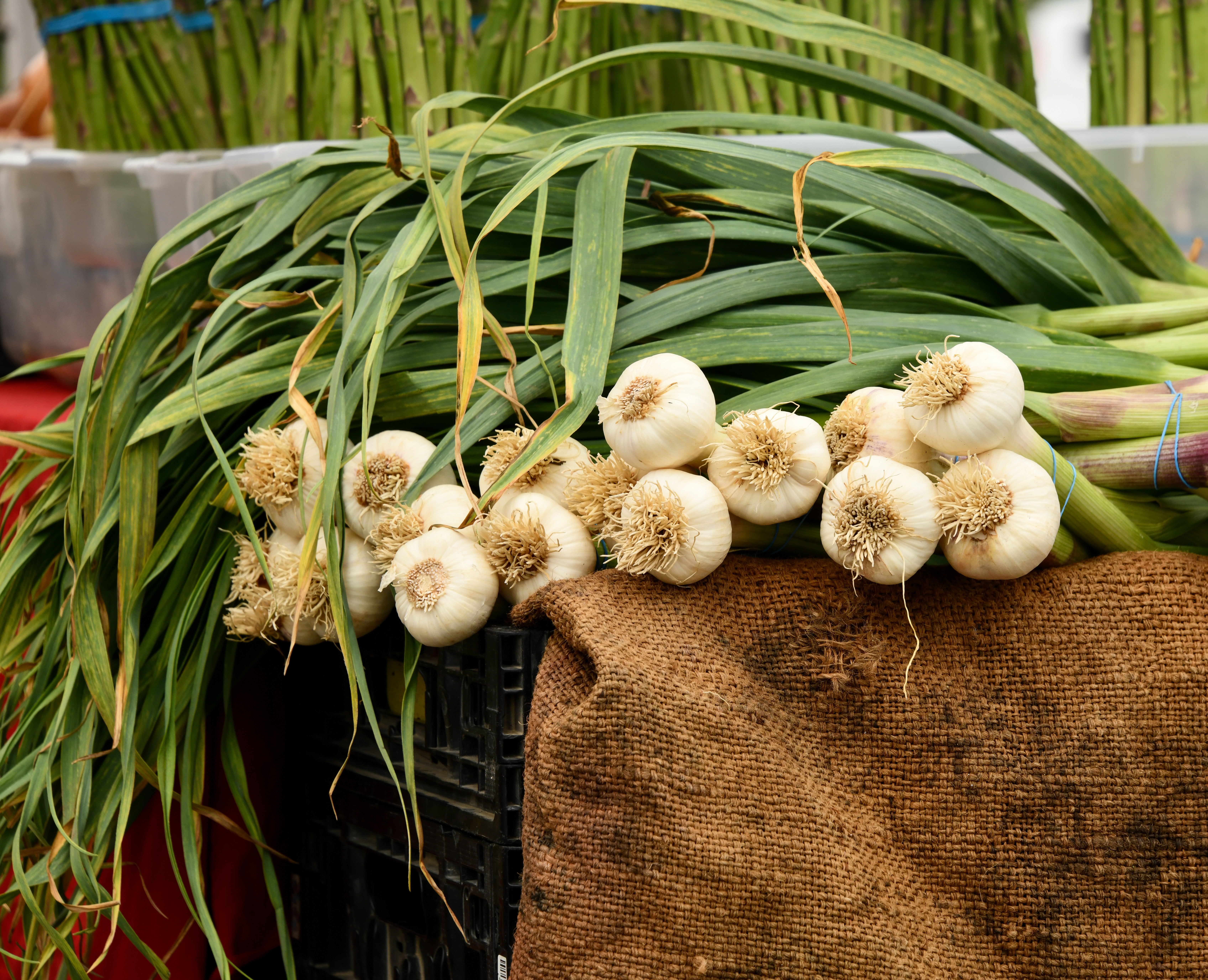 Edible flowers from the garlic family 