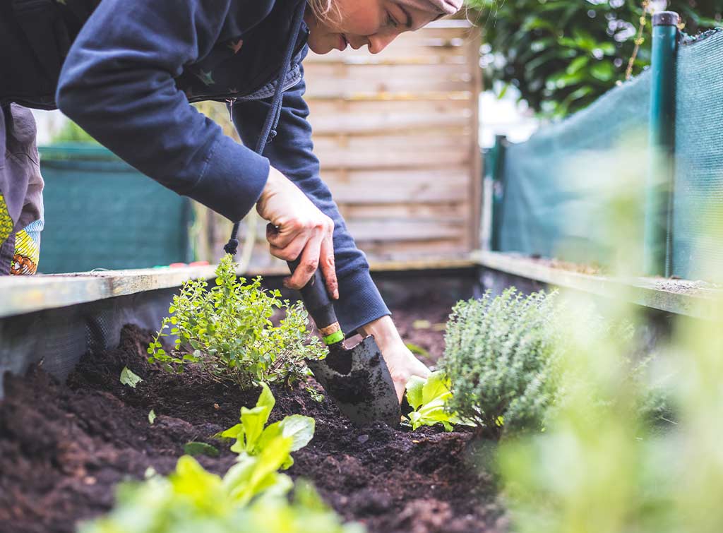 How-to-build-raised-beds-for-a-kitchen-garden