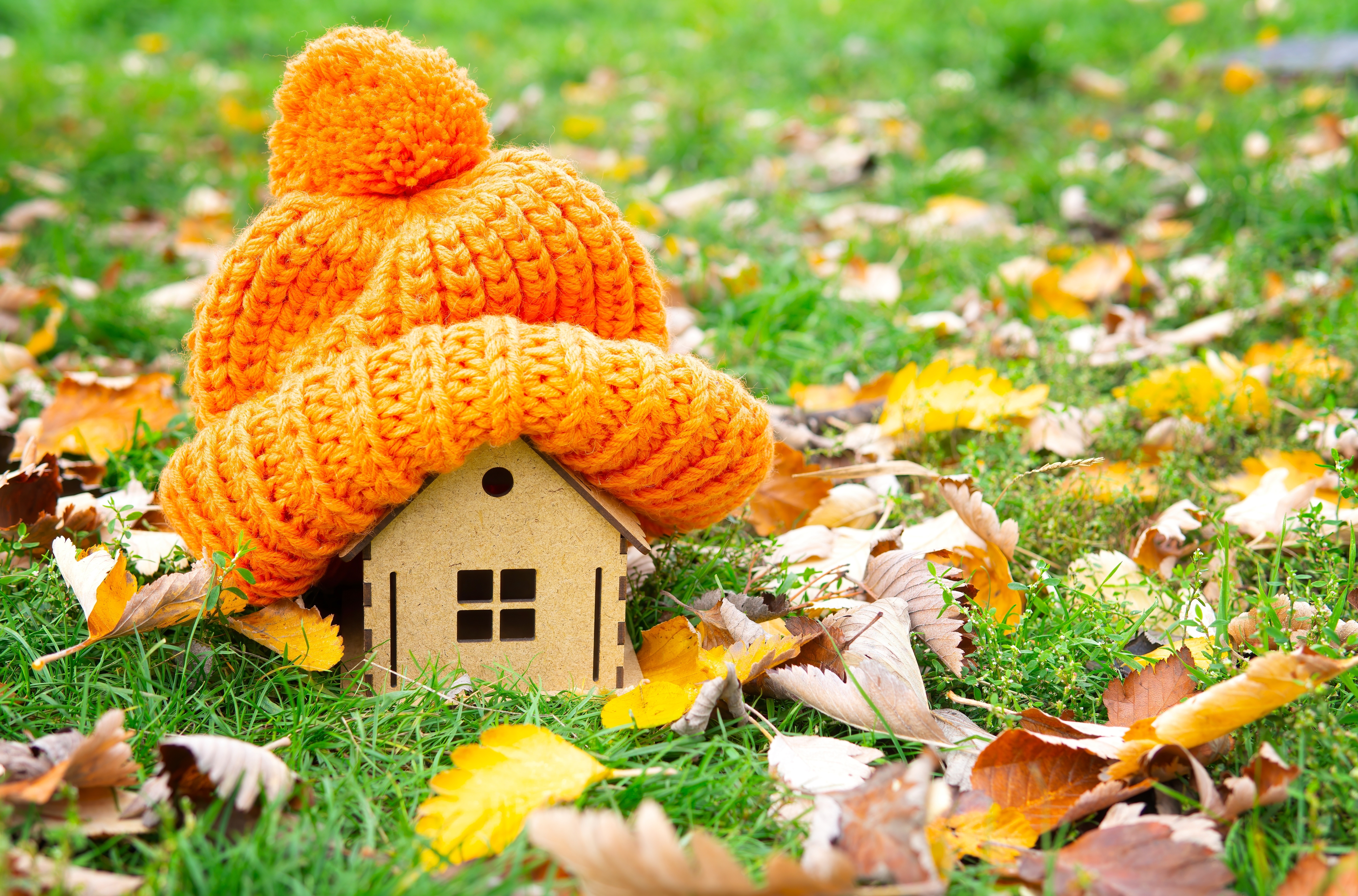 Little house with hat on the ground with leaves around 