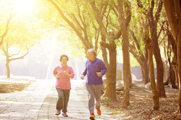 Couple exercising in the park