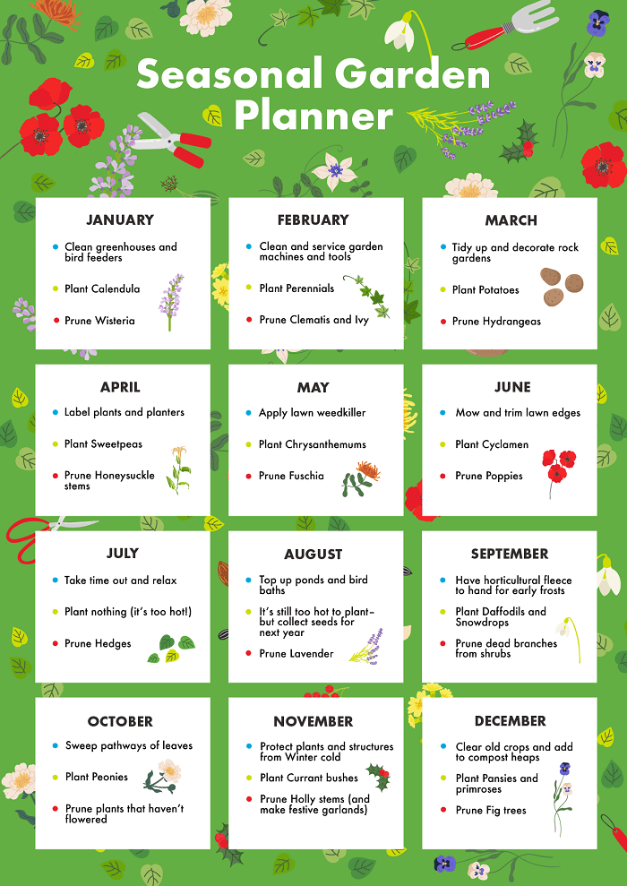 When to prep, plant and prune: Mark Lane’s Garden Planner