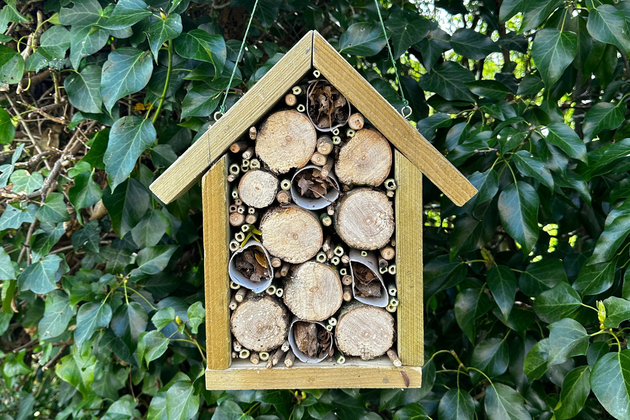 Step Five - Hang your finished bug hotel in the garden to attract bugs to your garden