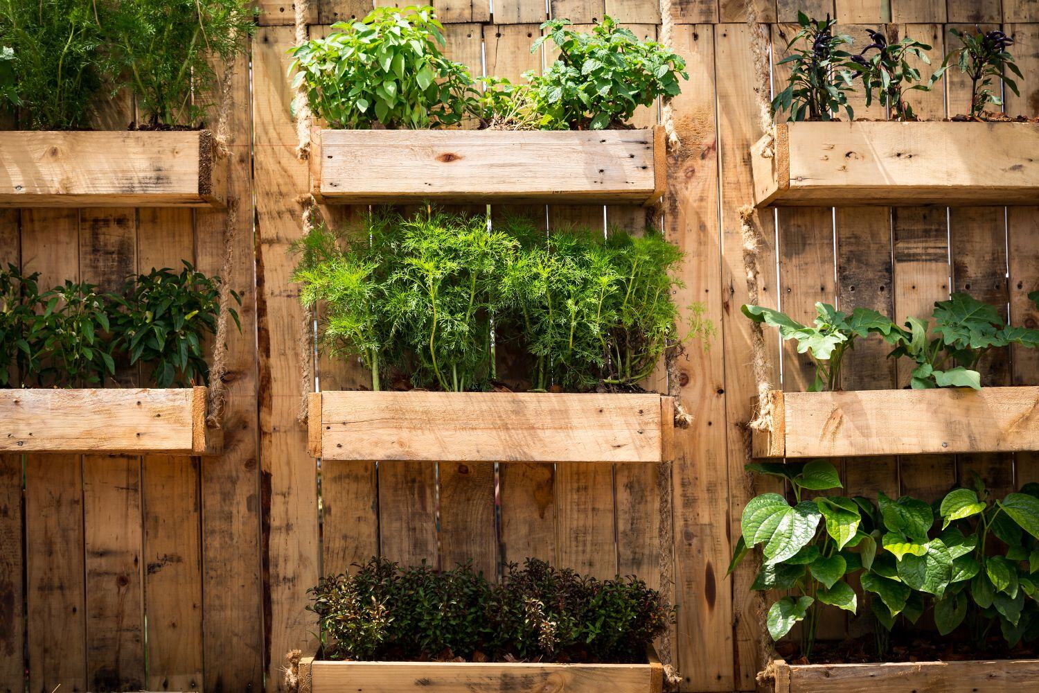 Small garden idea - plants in a homemade vertical garden. 