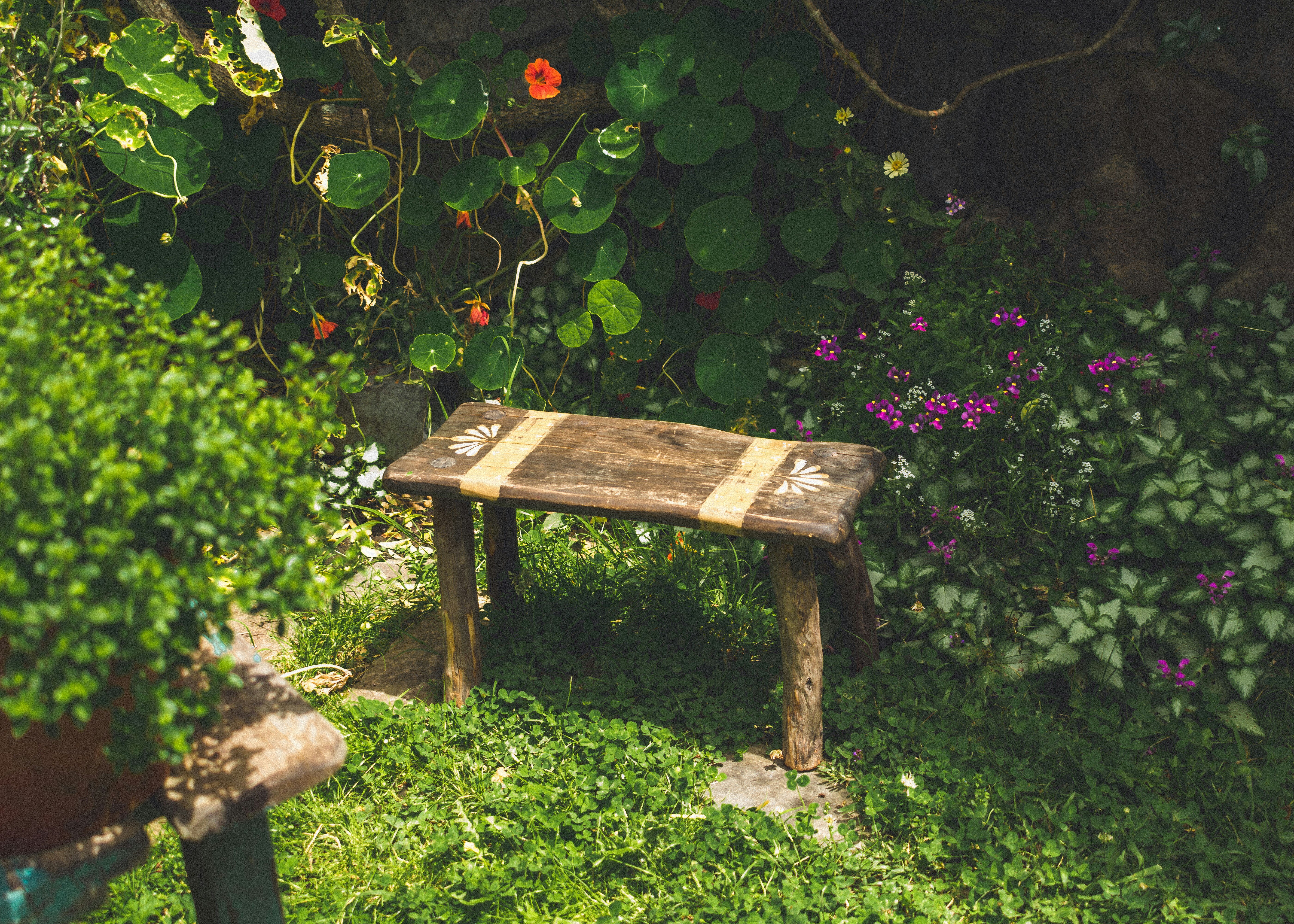 Low maintenance small garden idea – bench surrounded by mix of plants