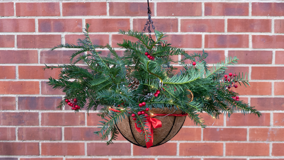 How to make a Christmas Hanging Basket, by Mark Lane